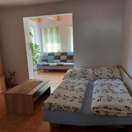 Grimmingapartment Maier Stainach Zewnętrze zdjęcie