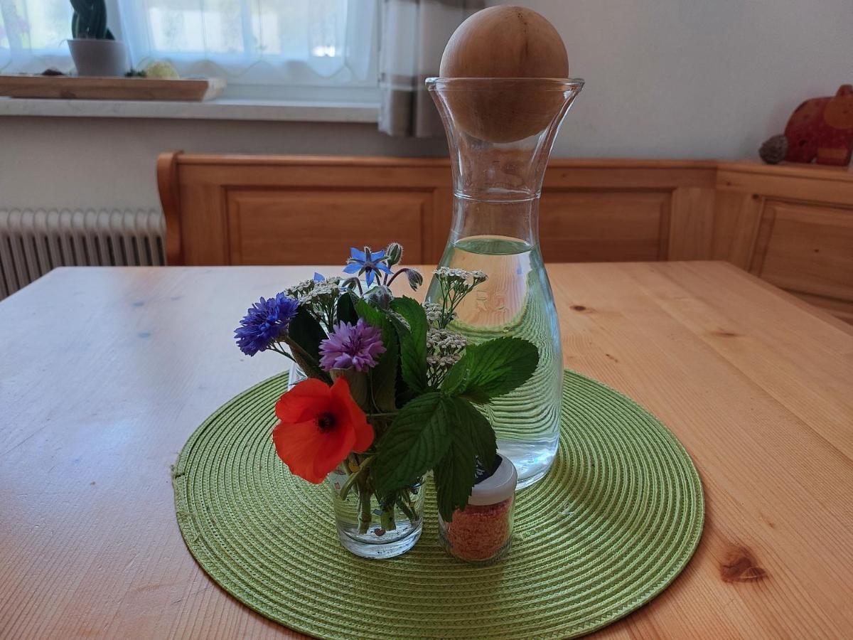 Grimmingapartment Maier Stainach Zewnętrze zdjęcie